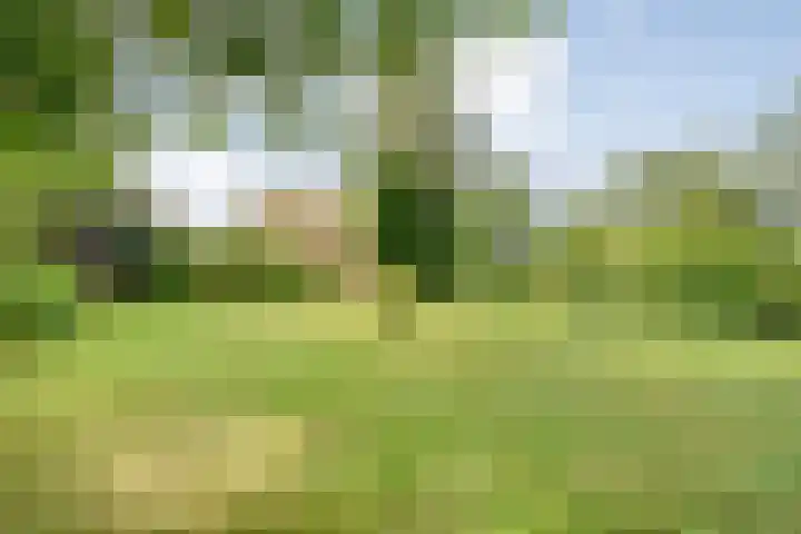 Stapelerveldweg 6 de Wijk thumbnail 53