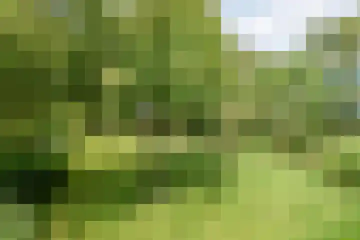 Stapelerveldweg 6 de Wijk thumbnail 54