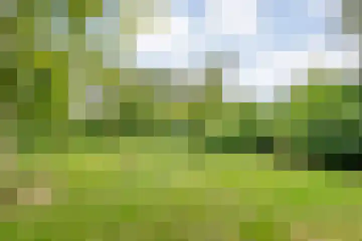 Stapelerveldweg 6 de Wijk thumbnail 55