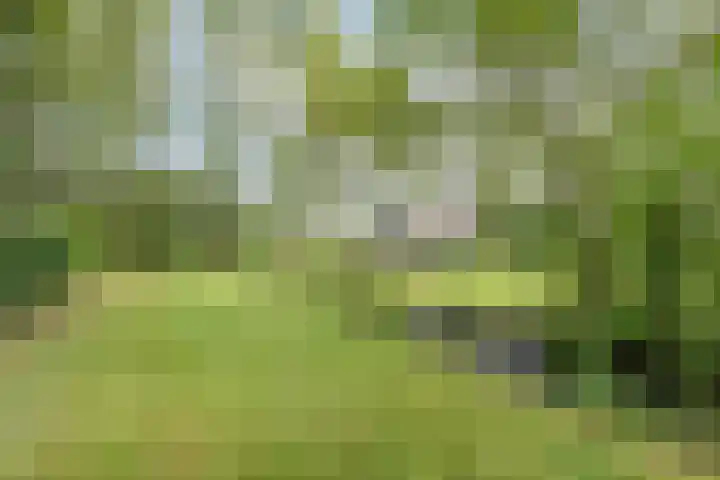 Stapelerveldweg 6 de Wijk thumbnail 56