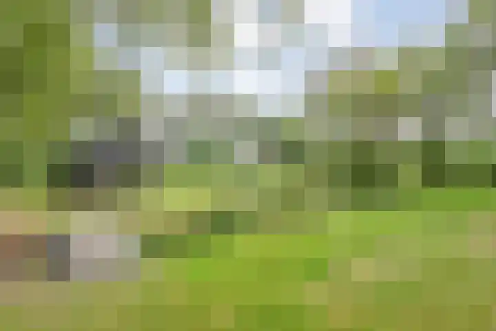 Stapelerveldweg 6 de Wijk thumbnail 57