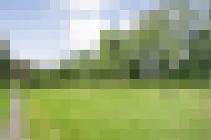 Stapelerveldweg 6 de Wijk thumbnail 58