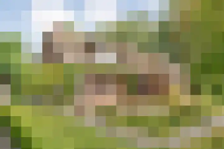 Stapelerveldweg 6 de Wijk thumbnail 6