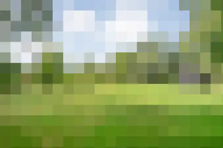 Stapelerveldweg 6 de Wijk thumbnail 60