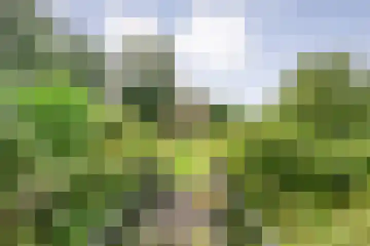 Stapelerveldweg 6 de Wijk thumbnail 61