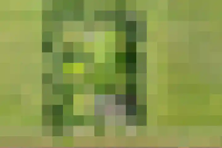Stapelerveldweg 6 de Wijk thumbnail 64