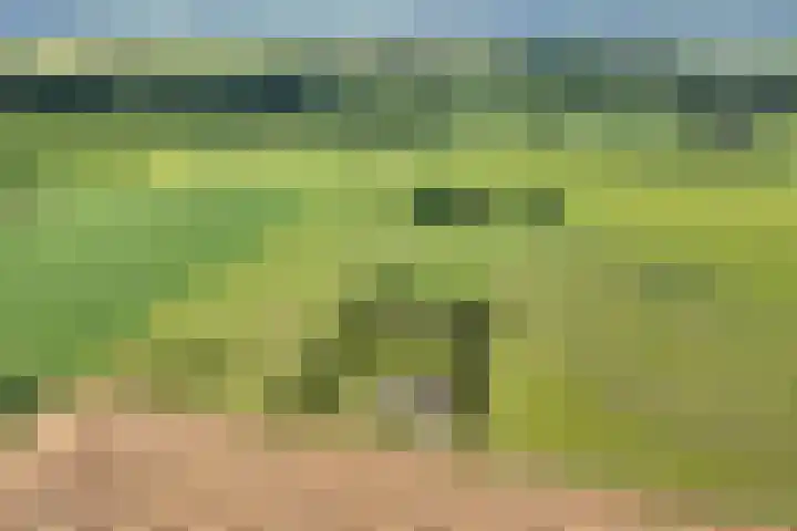 Stapelerveldweg 6 de Wijk thumbnail 65