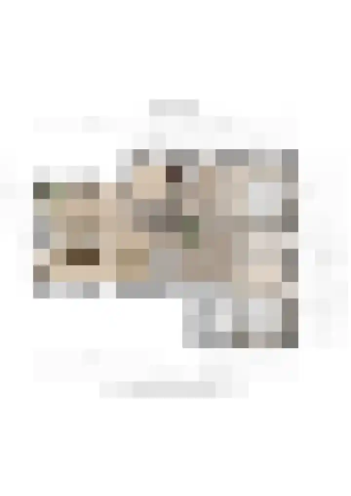 Stapelerveldweg 6 de Wijk thumbnail 67