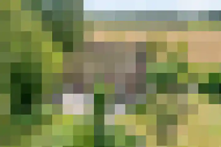 Stapelerveldweg 6 de Wijk thumbnail 8