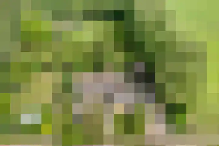 Stapelerveldweg 6 de Wijk thumbnail 9
