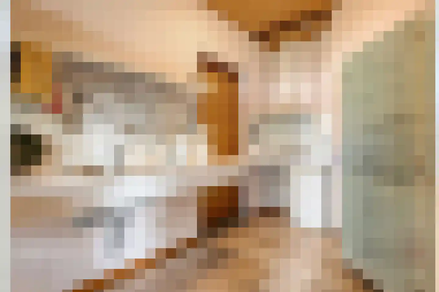 Stapelerweg 8 de Wijk thumbnail 100