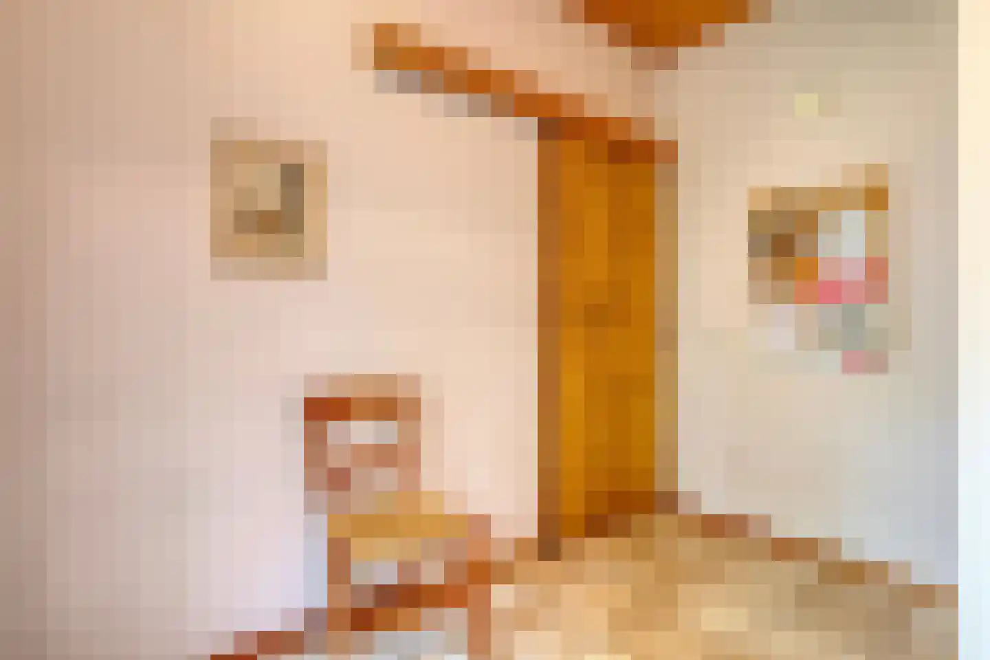 Stapelerweg 8 de Wijk thumbnail 104