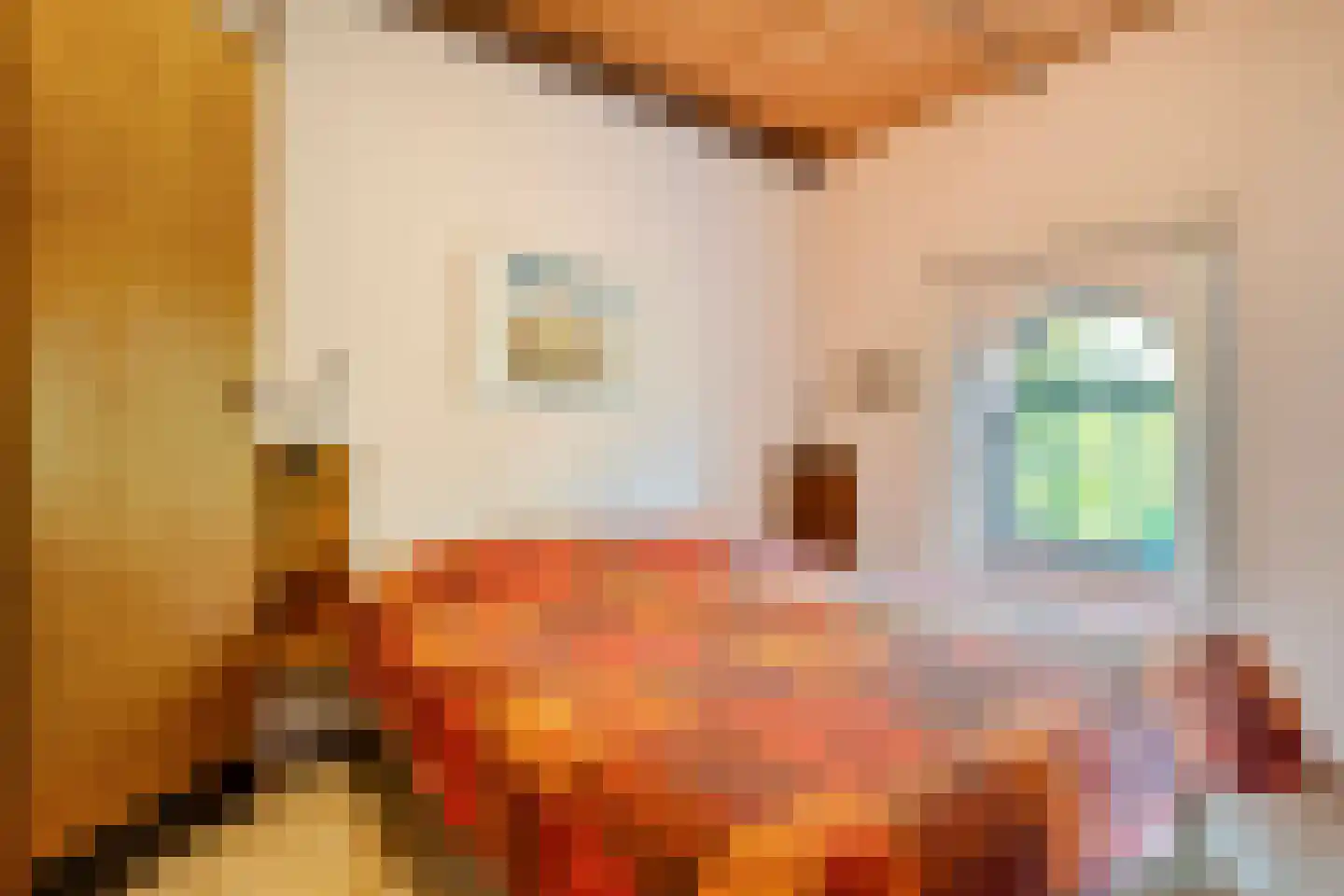 Stapelerweg 8 de Wijk thumbnail 105