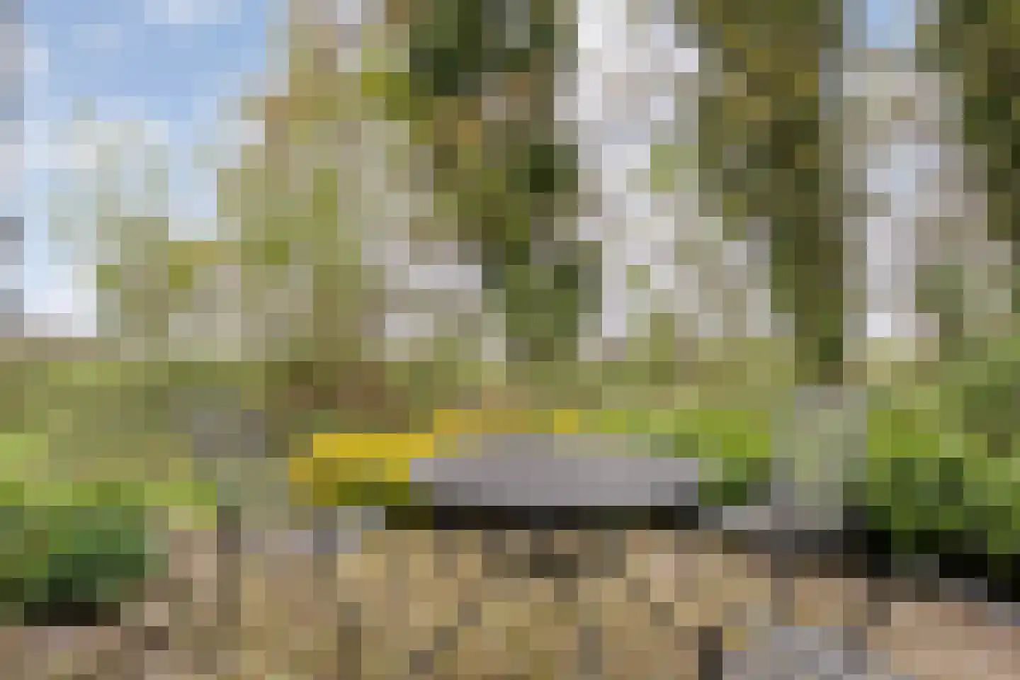Stapelerweg 8 de Wijk thumbnail 109