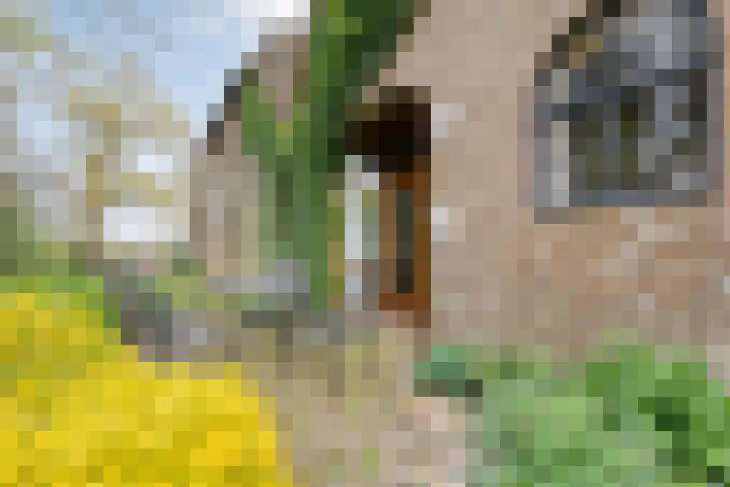 Stapelerweg 8 de Wijk thumbnail 110