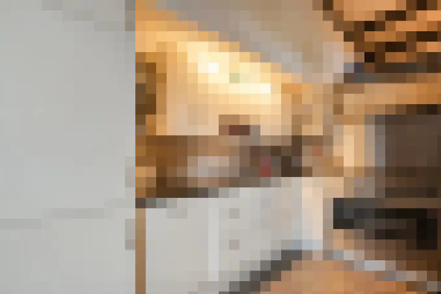 Stapelerweg 8 de Wijk thumbnail 21