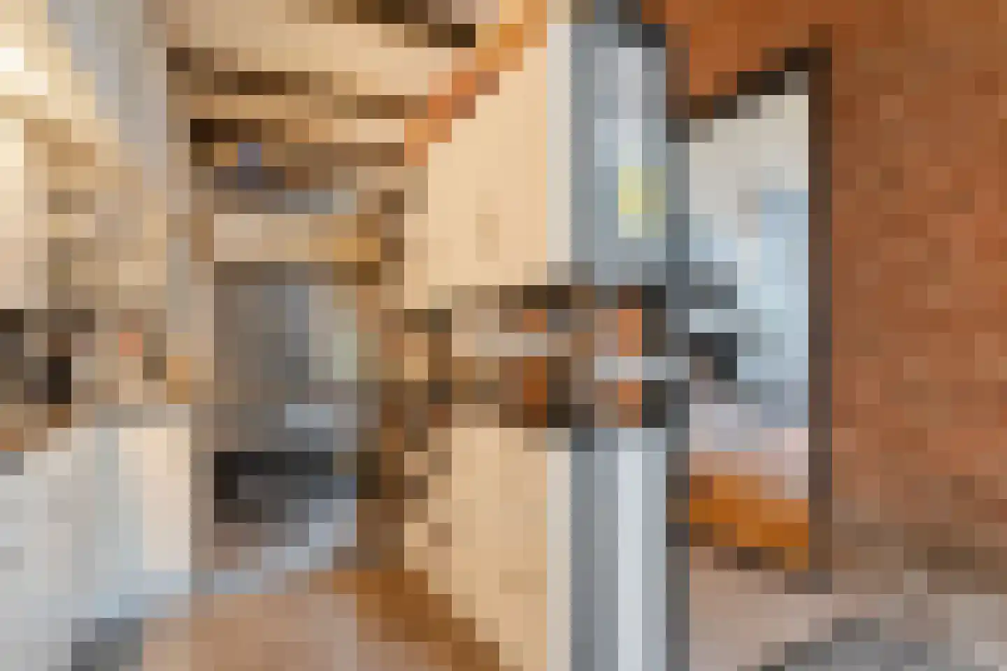 Stapelerweg 8 de Wijk thumbnail 22
