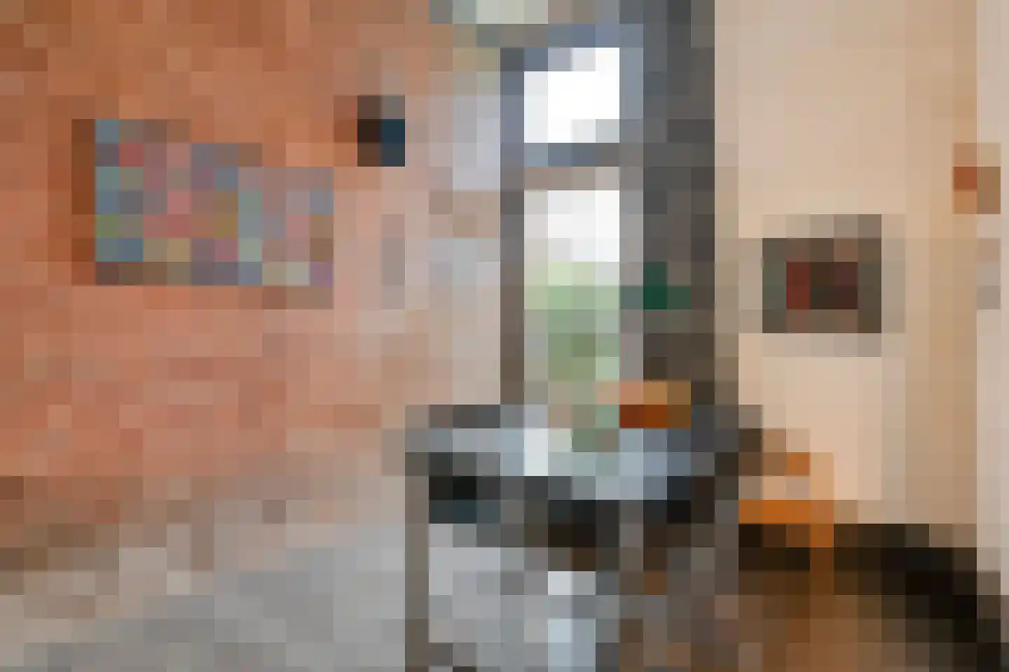 Stapelerweg 8 de Wijk thumbnail 24