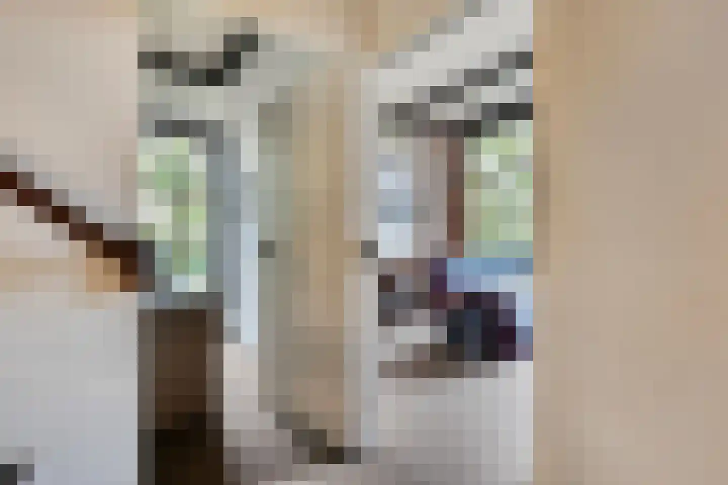 Stapelerweg 8 de Wijk thumbnail 26