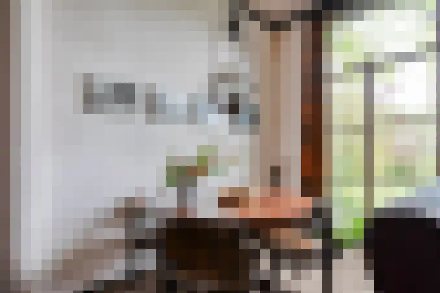 Stapelerweg 8 de Wijk thumbnail 29