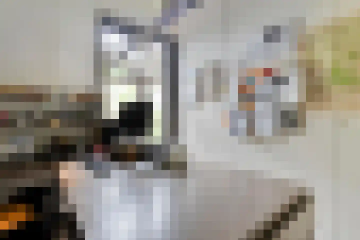 Stapelerweg 8 de Wijk thumbnail 30