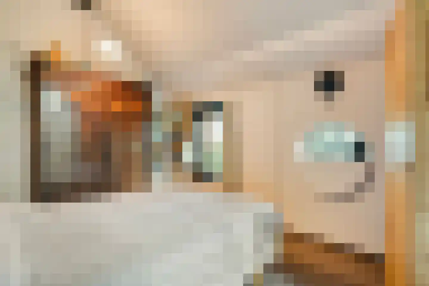 Stapelerweg 8 de Wijk thumbnail 31