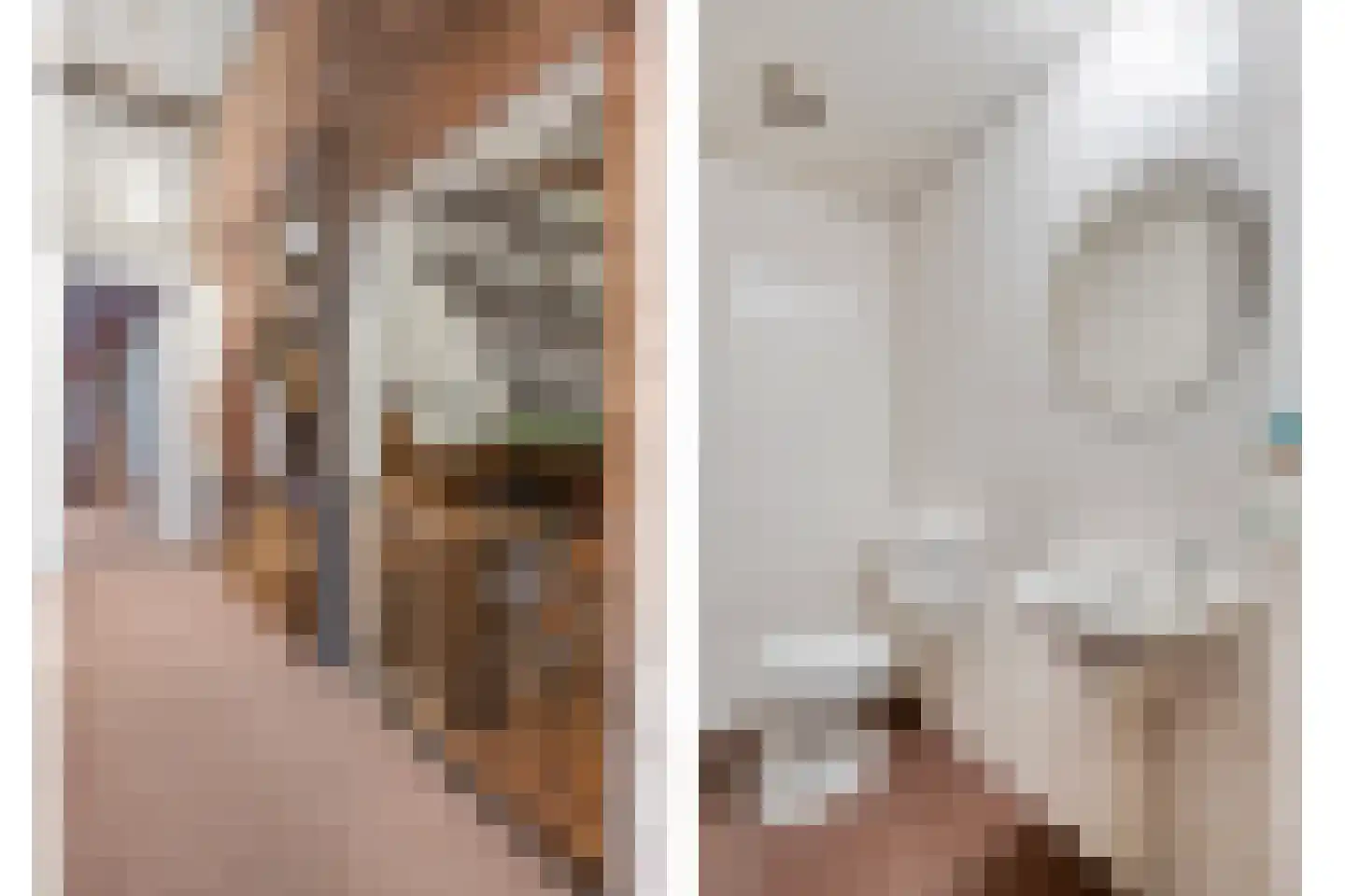 Stapelerweg 8 de Wijk thumbnail 34