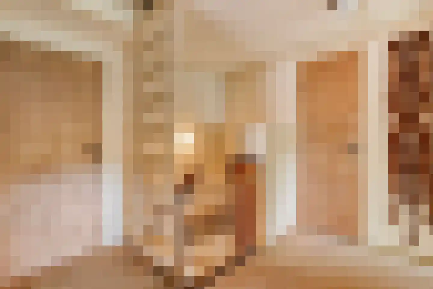 Stapelerweg 8 de Wijk thumbnail 38