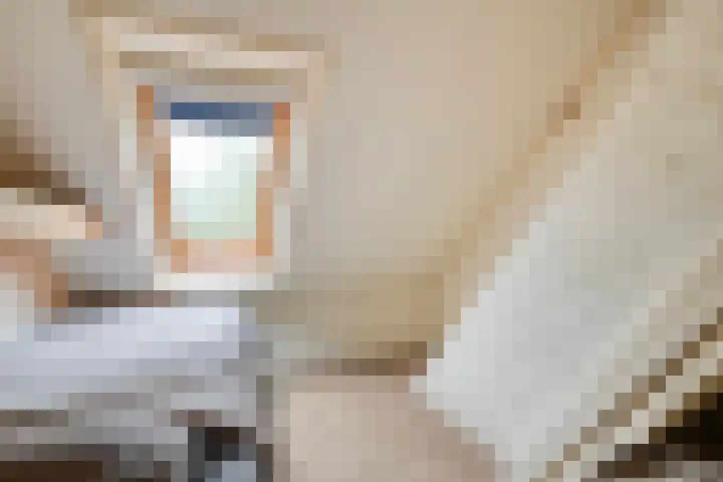 Stapelerweg 8 de Wijk thumbnail 45