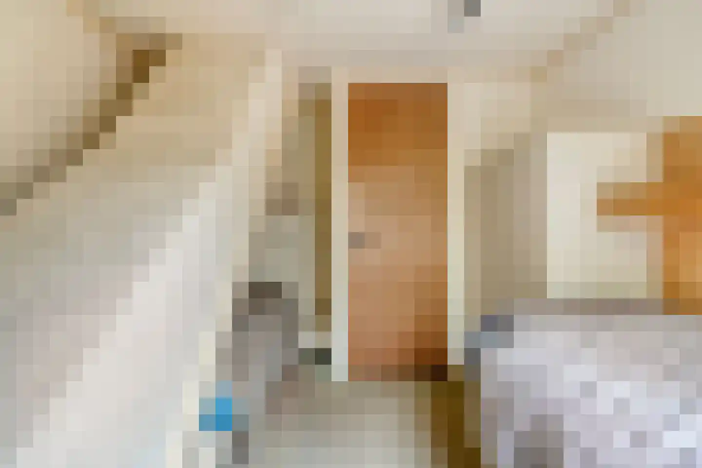 Stapelerweg 8 de Wijk thumbnail 46