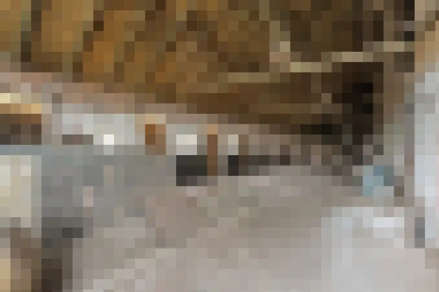 Stapelerweg 8 de Wijk thumbnail 47