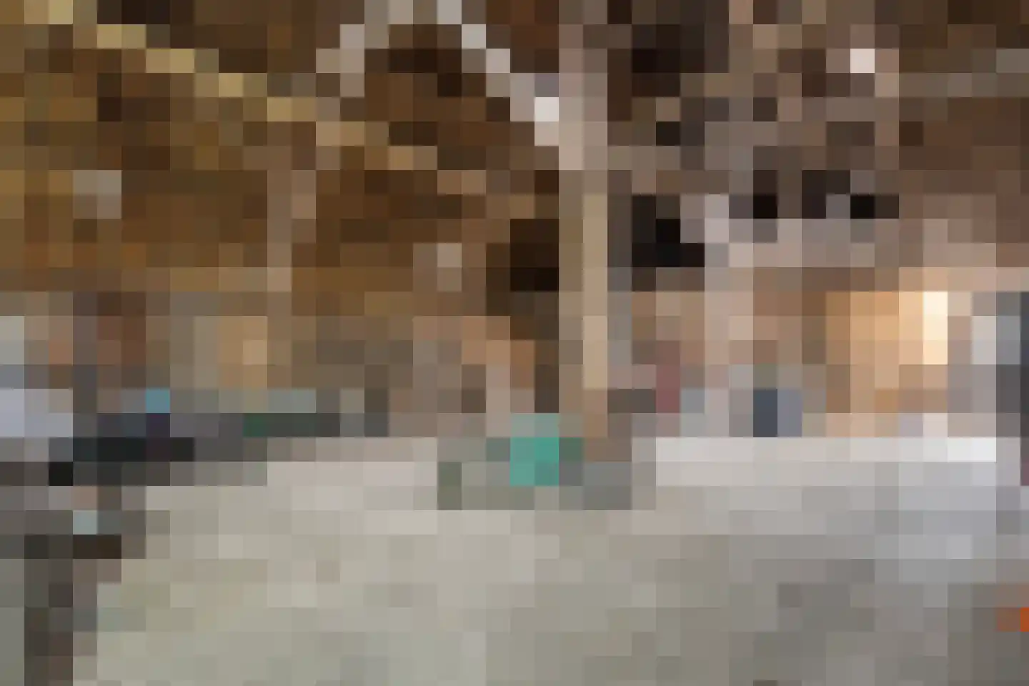 Stapelerweg 8 de Wijk thumbnail 48