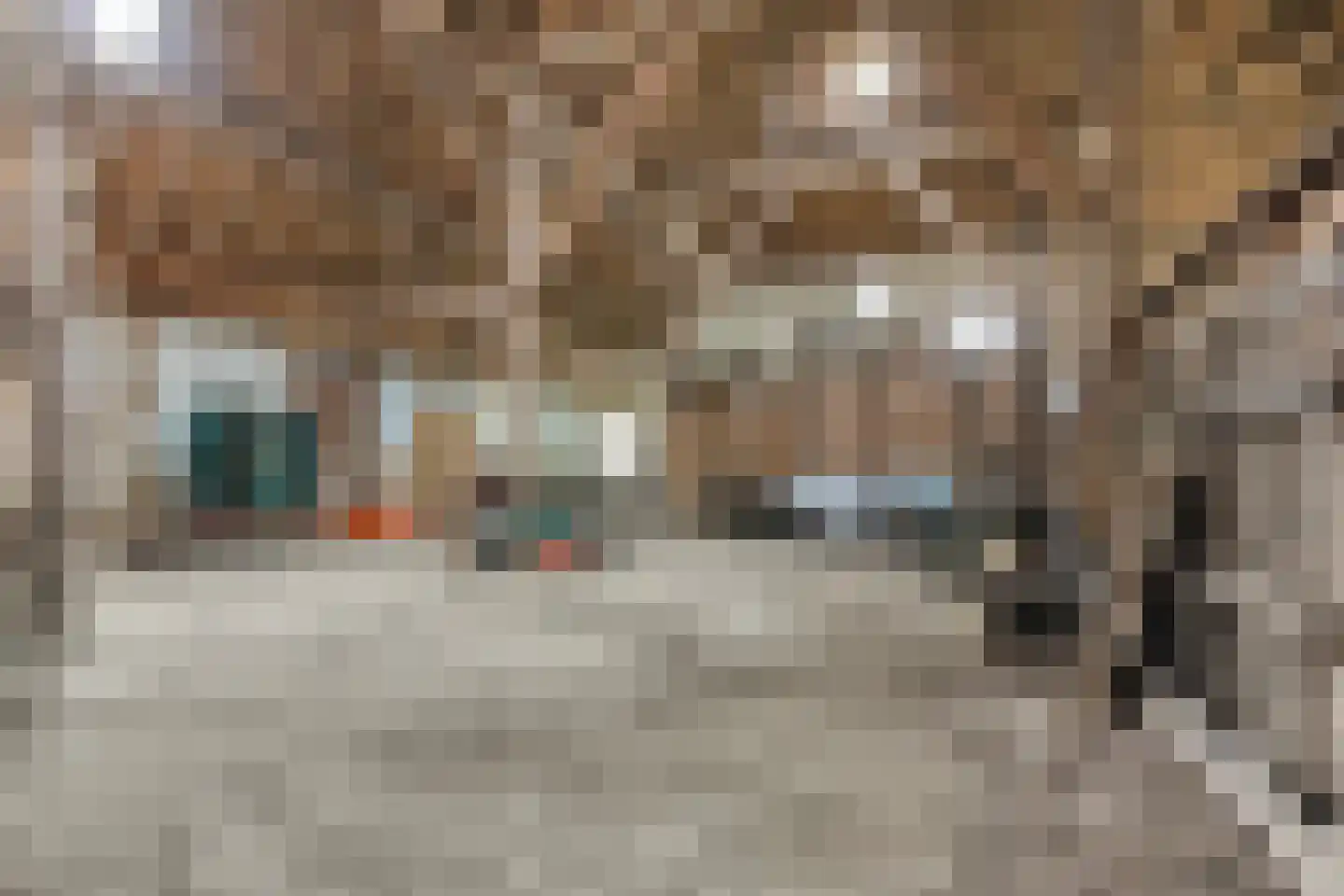Stapelerweg 8 de Wijk thumbnail 49