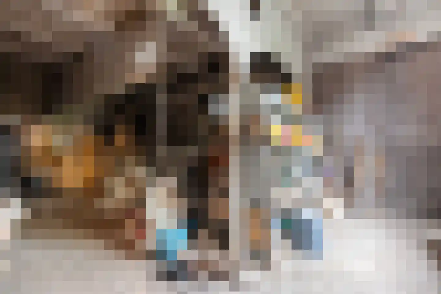 Stapelerweg 8 de Wijk thumbnail 50