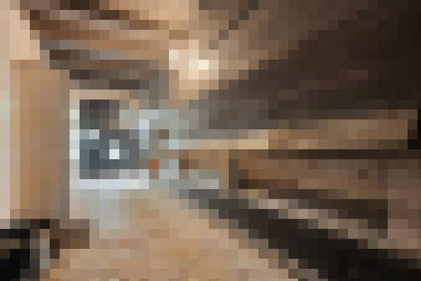 Stapelerweg 8 de Wijk thumbnail 52