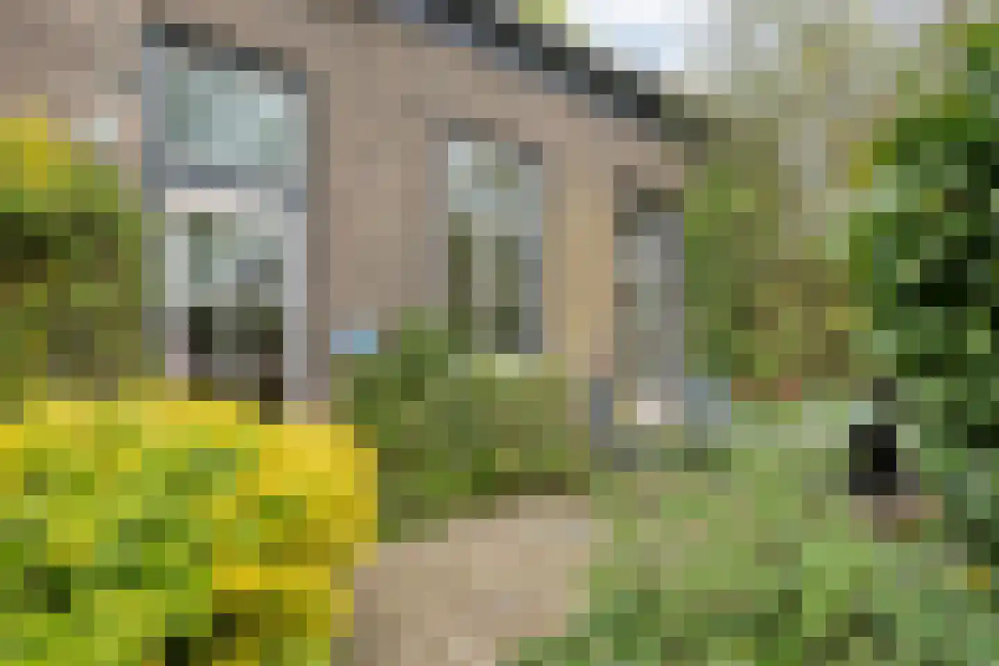 Stapelerweg 8 de Wijk thumbnail 55