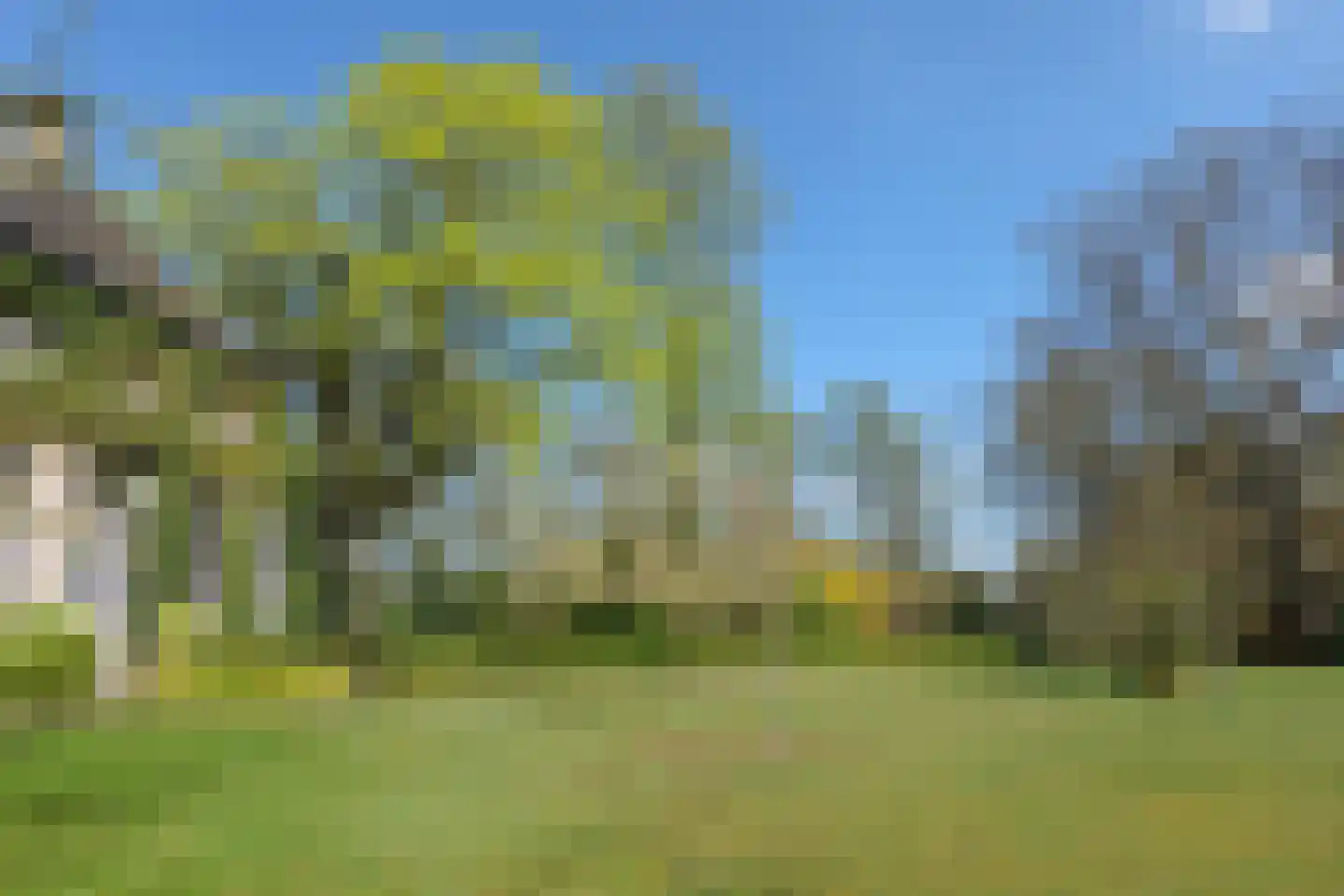 Stapelerweg 8 de Wijk thumbnail 56