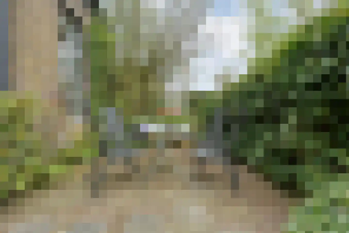 Stapelerweg 8 de Wijk thumbnail 57