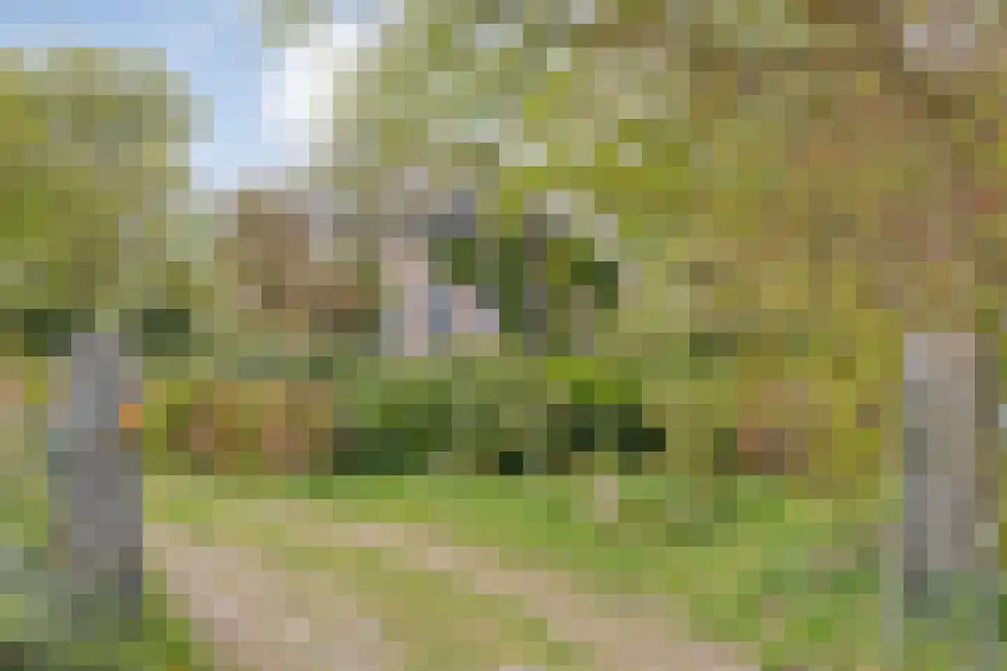 Stapelerweg 8 de Wijk thumbnail 58