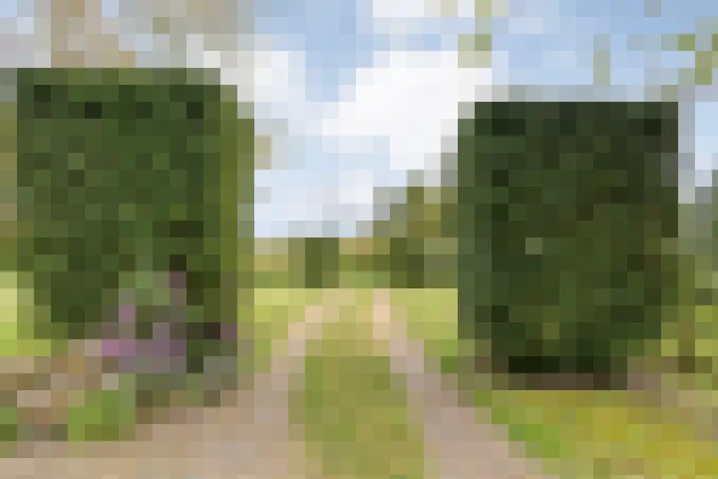 Stapelerweg 8 de Wijk thumbnail 59