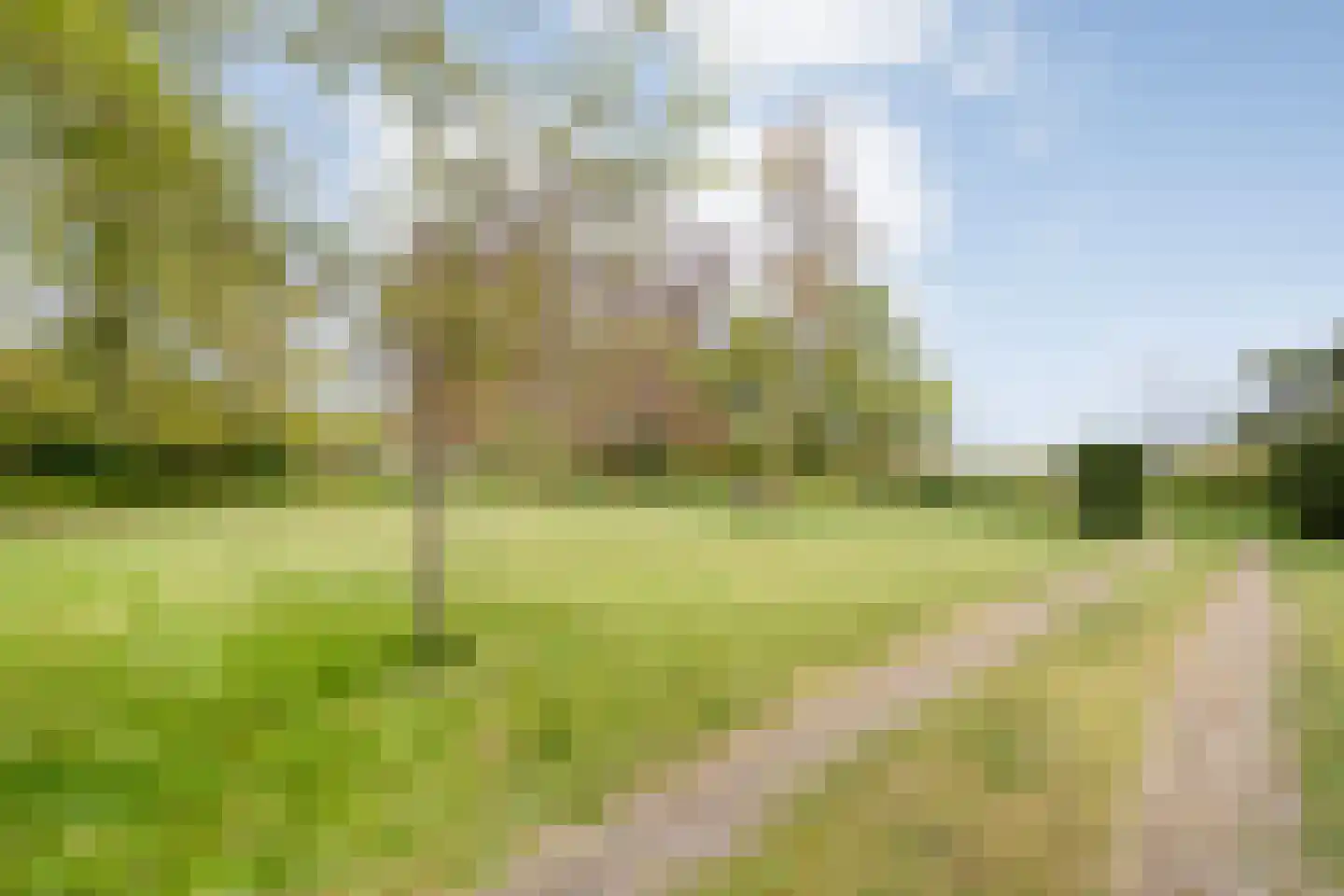 Stapelerweg 8 de Wijk thumbnail 61