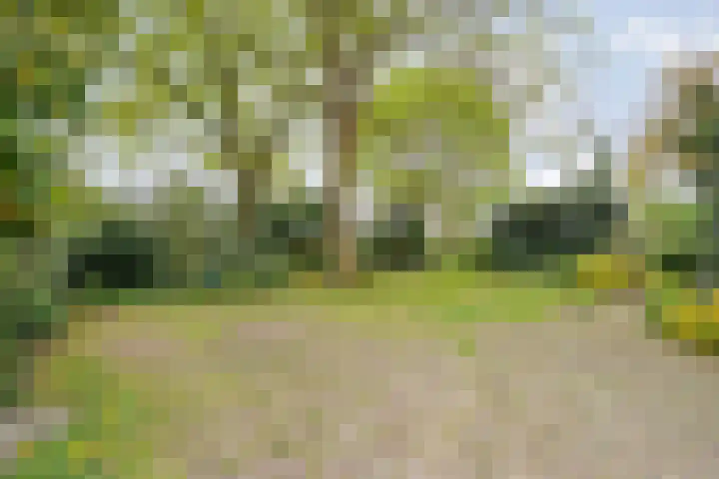 Stapelerweg 8 de Wijk thumbnail 62