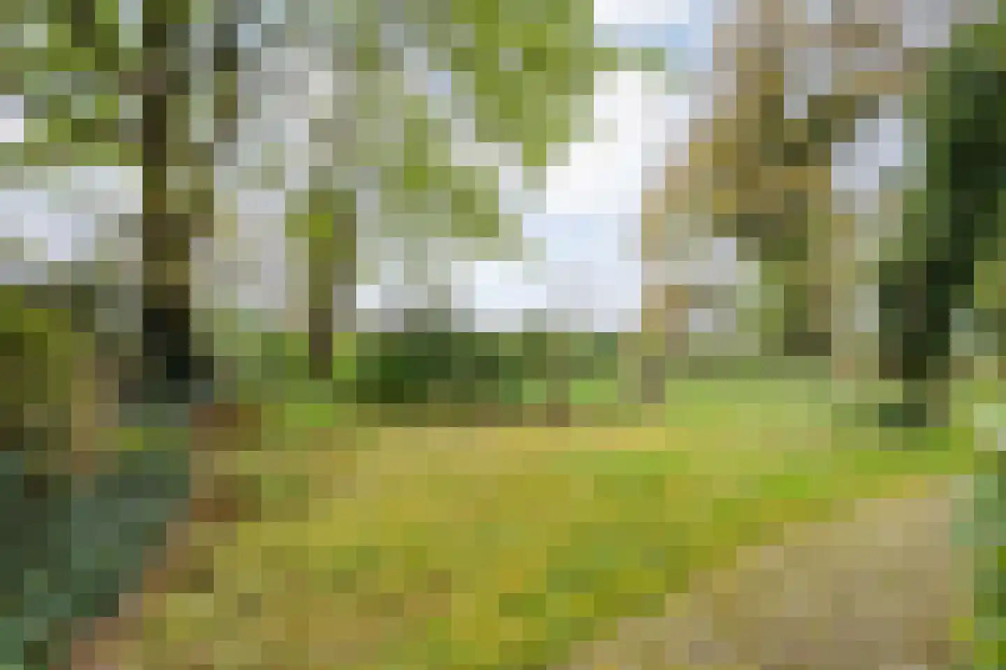 Stapelerweg 8 de Wijk thumbnail 64