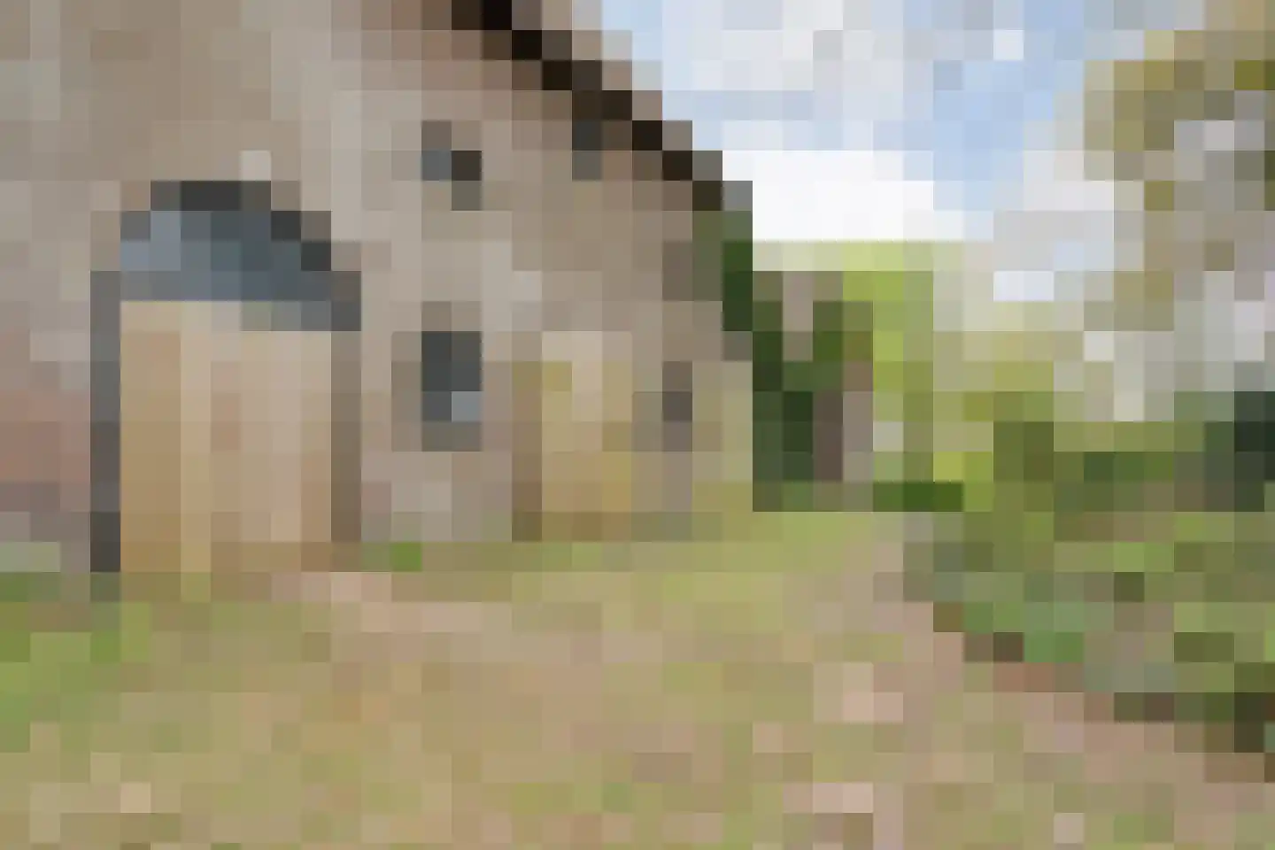 Stapelerweg 8 de Wijk thumbnail 66