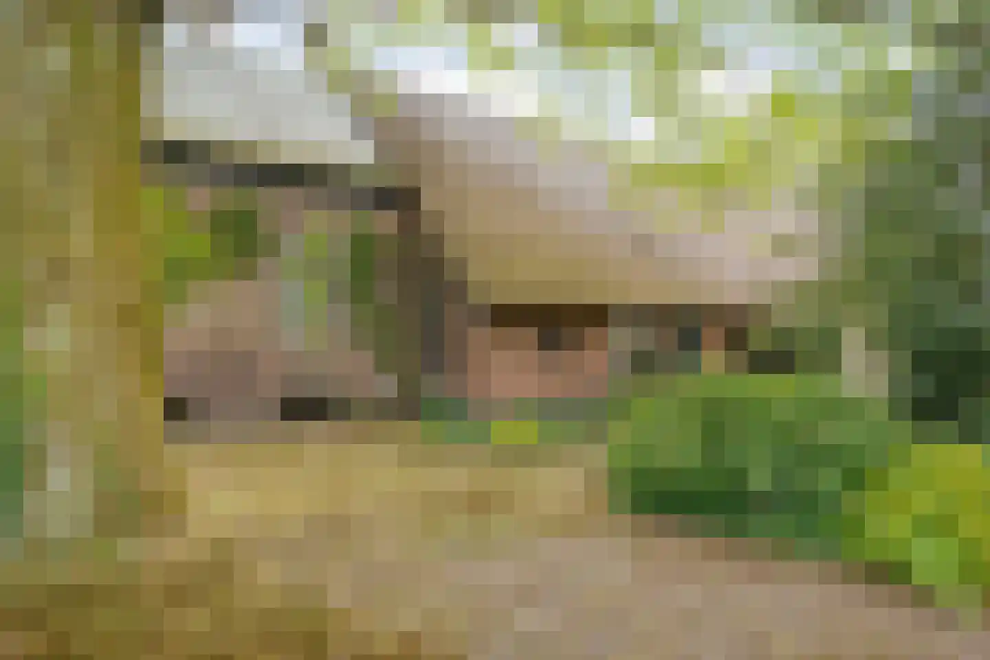 Stapelerweg 8 de Wijk thumbnail 70