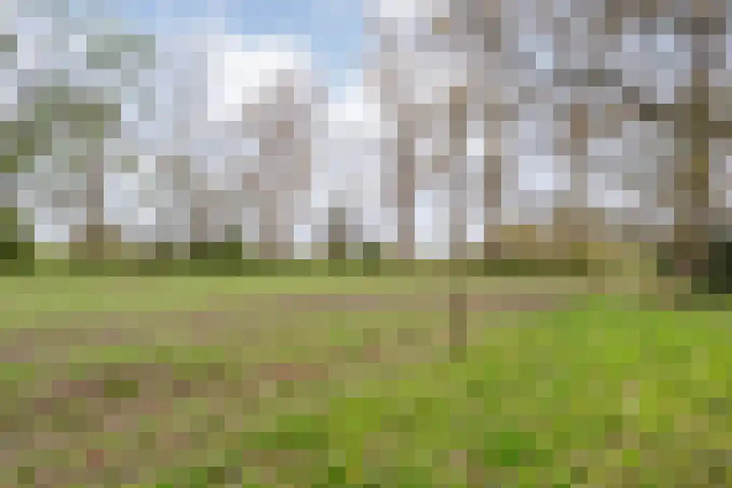 Stapelerweg 8 de Wijk thumbnail 71