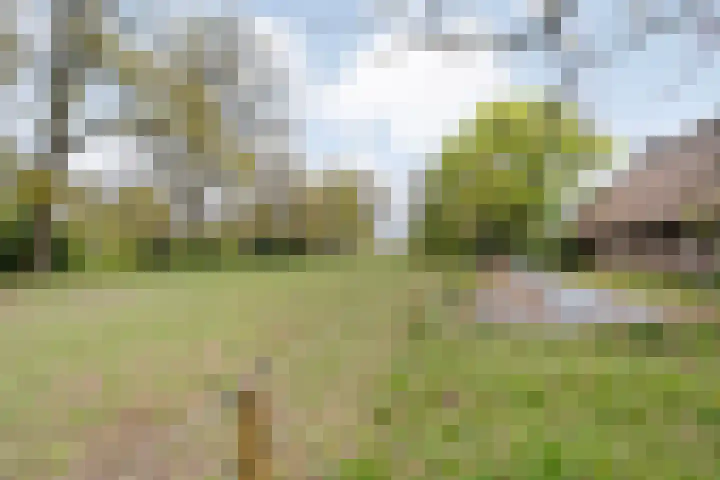 Stapelerweg 8 de Wijk thumbnail 72
