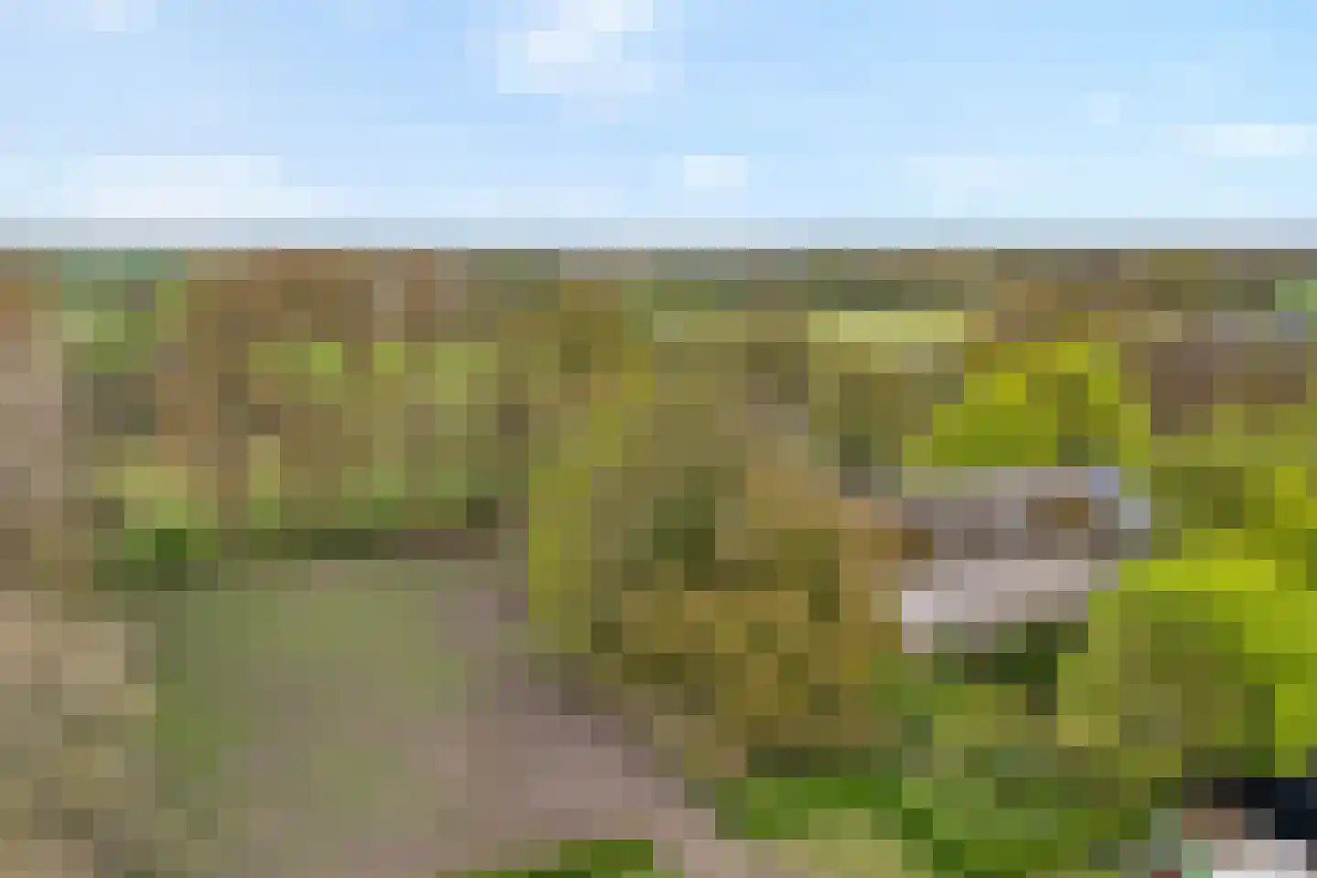Stapelerweg 8 de Wijk thumbnail 73