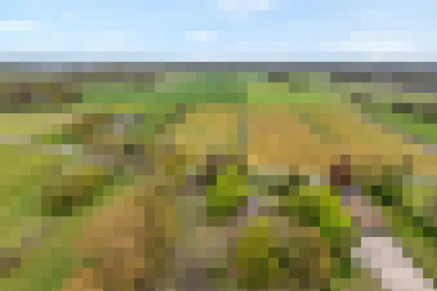 Stapelerweg 8 de Wijk thumbnail 74