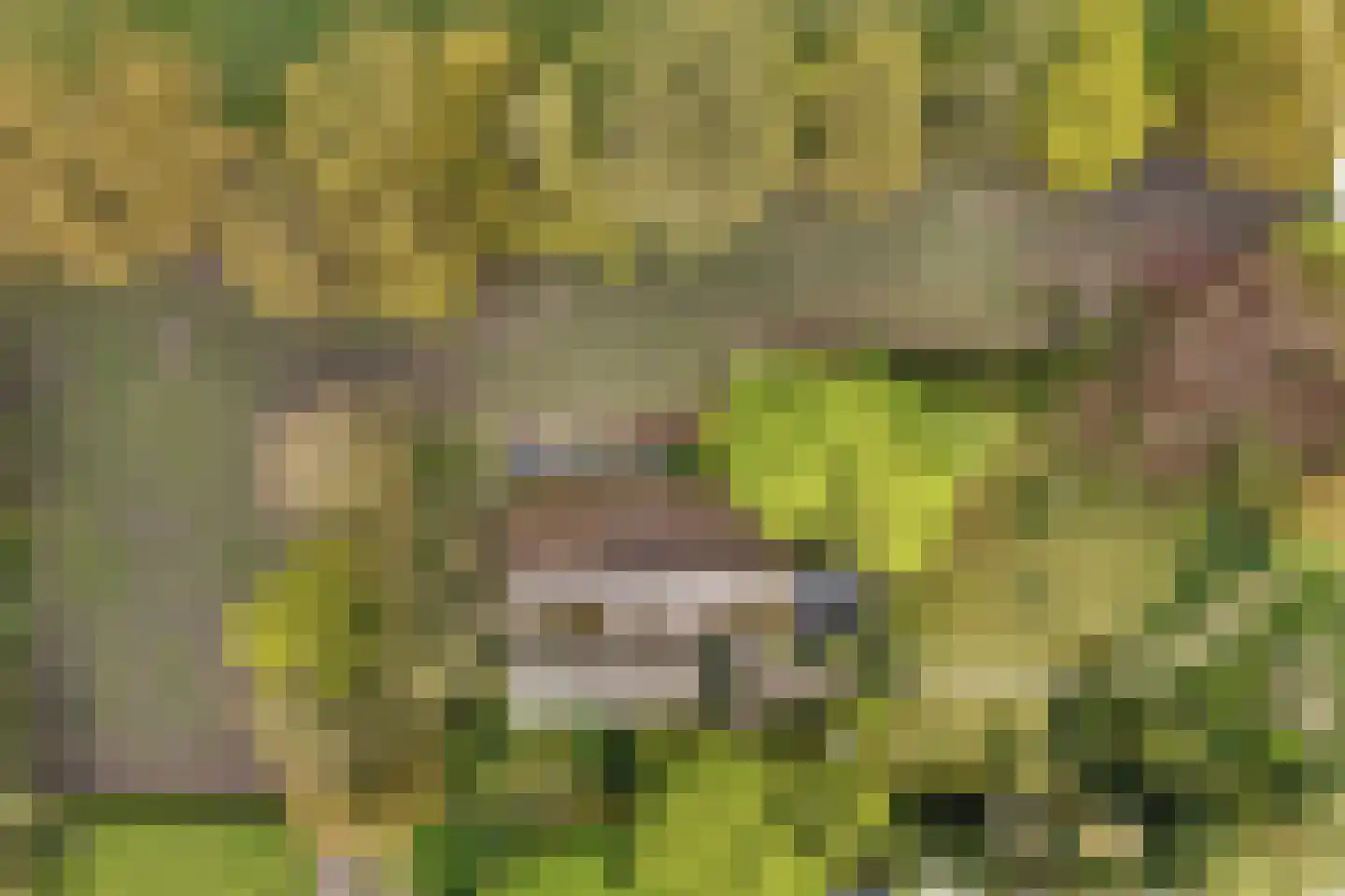 Stapelerweg 8 de Wijk thumbnail 75